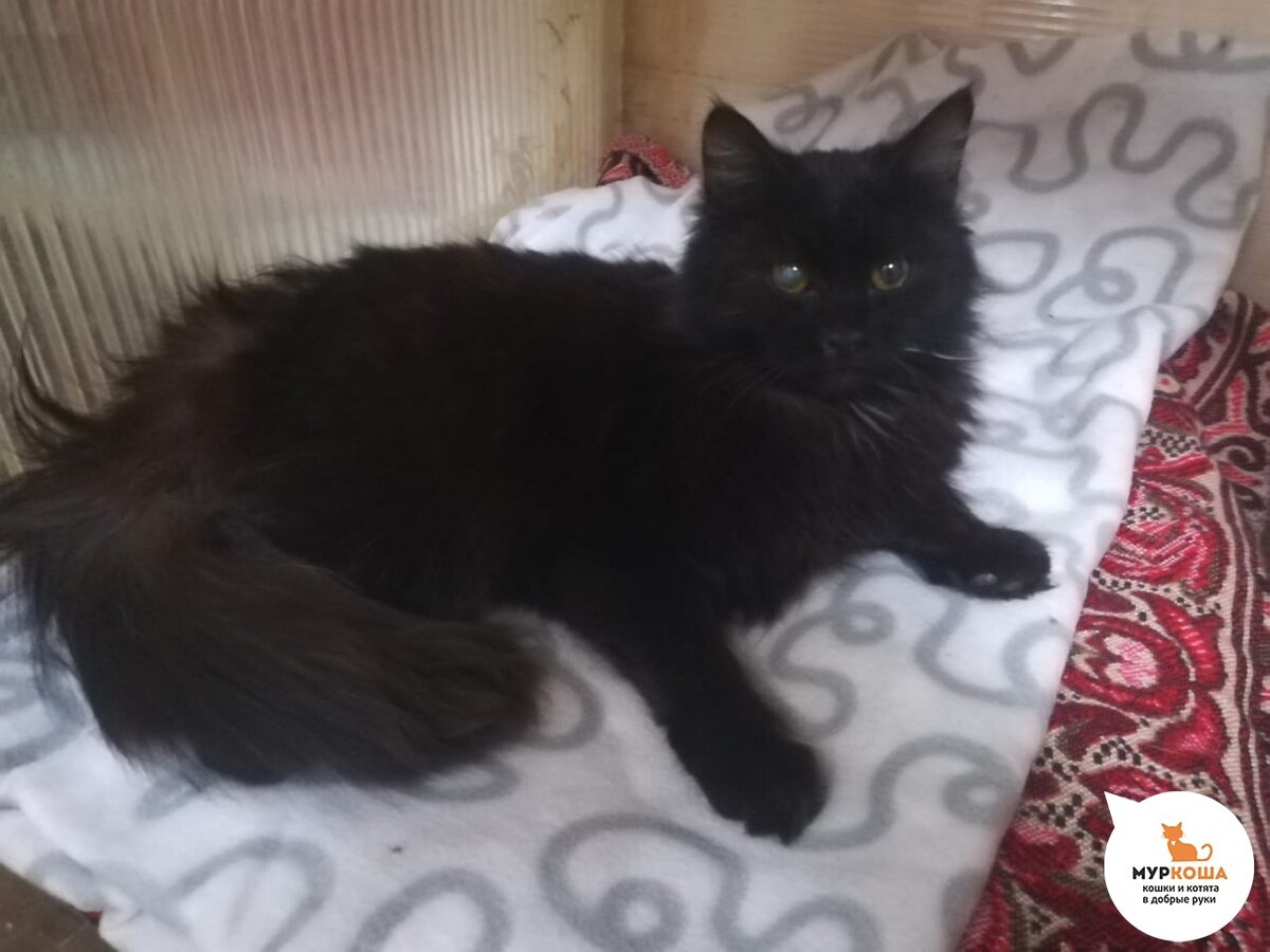 Притягательный взгляд! 😍