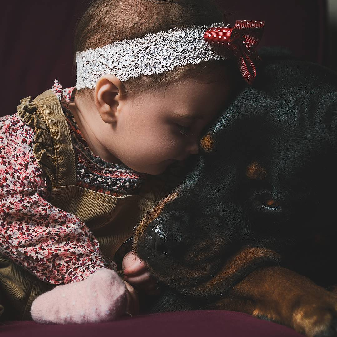 Собака и ребёнок