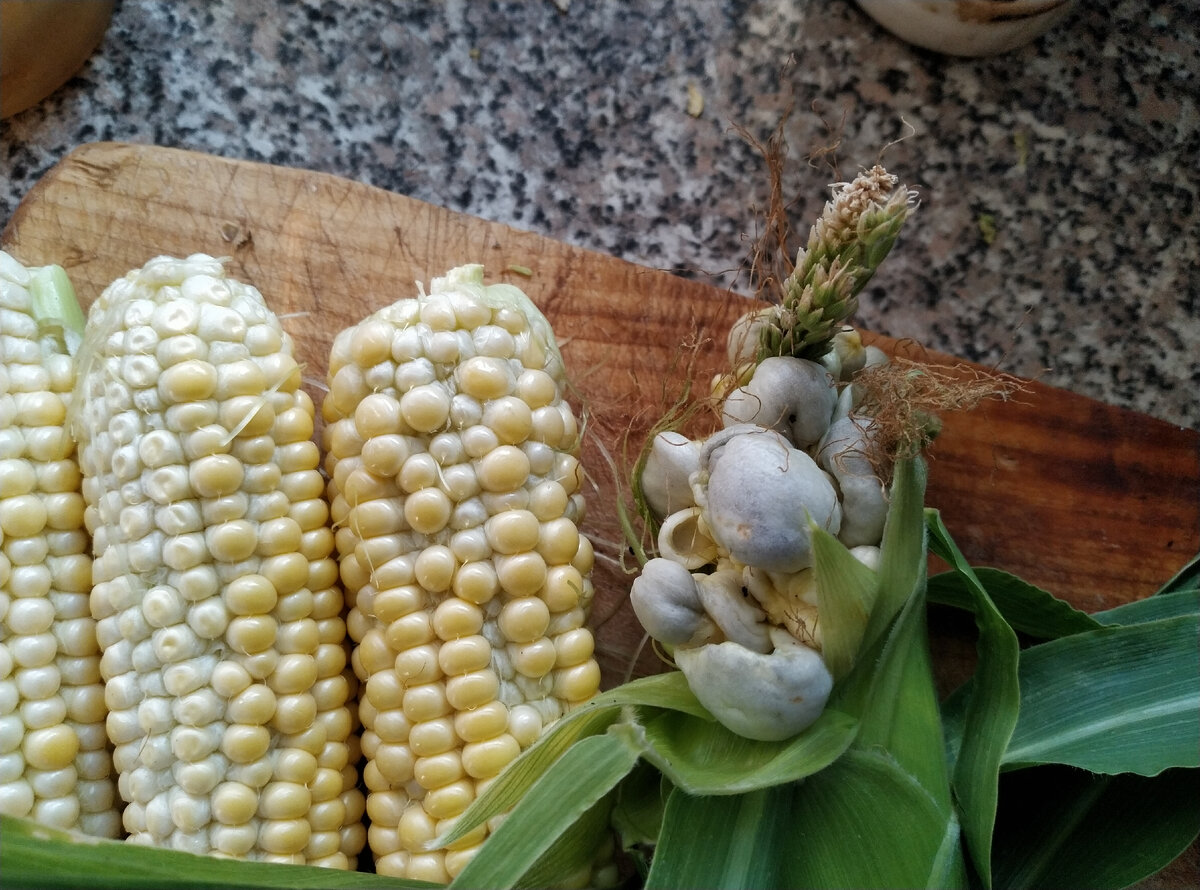 Во какие чудеса