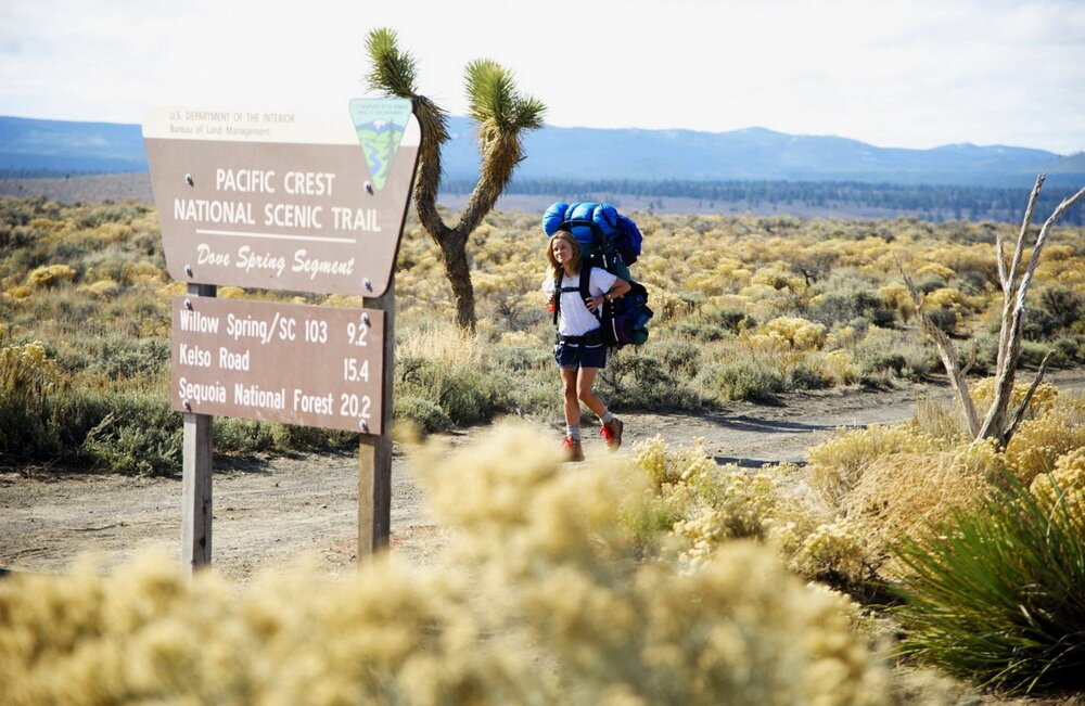 Кадр из фильма «Дикая» (2014)