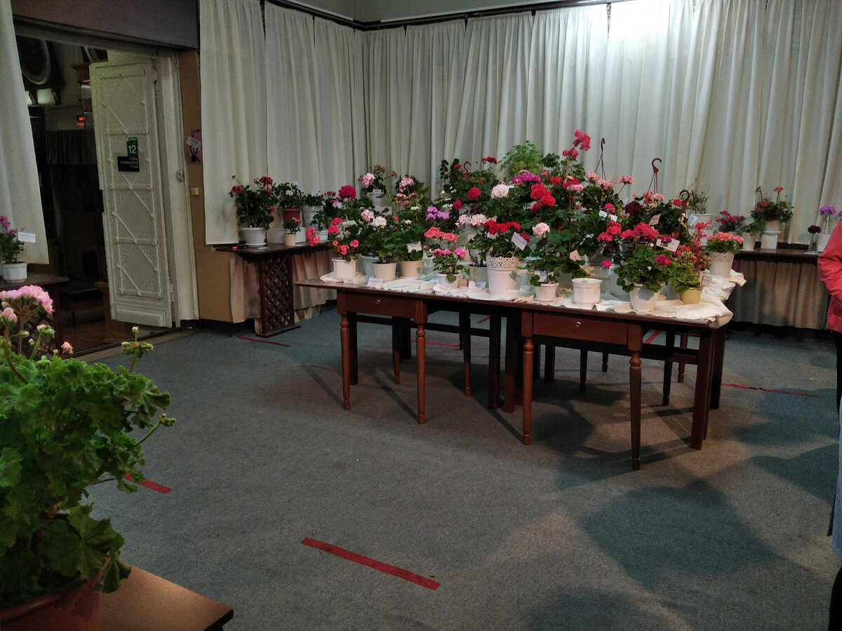 Время - около 15.00, основной поток схлынул. 