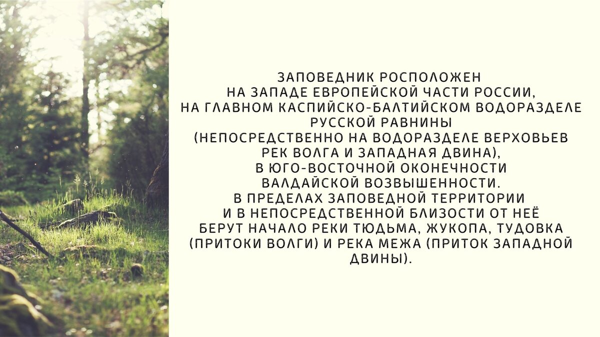 Внутренний туризм. Очень интересное место на западе Тверской области:  Центрально - Лесной заповедник. Небольшой фото-тур | ПроЯвления | Дзен