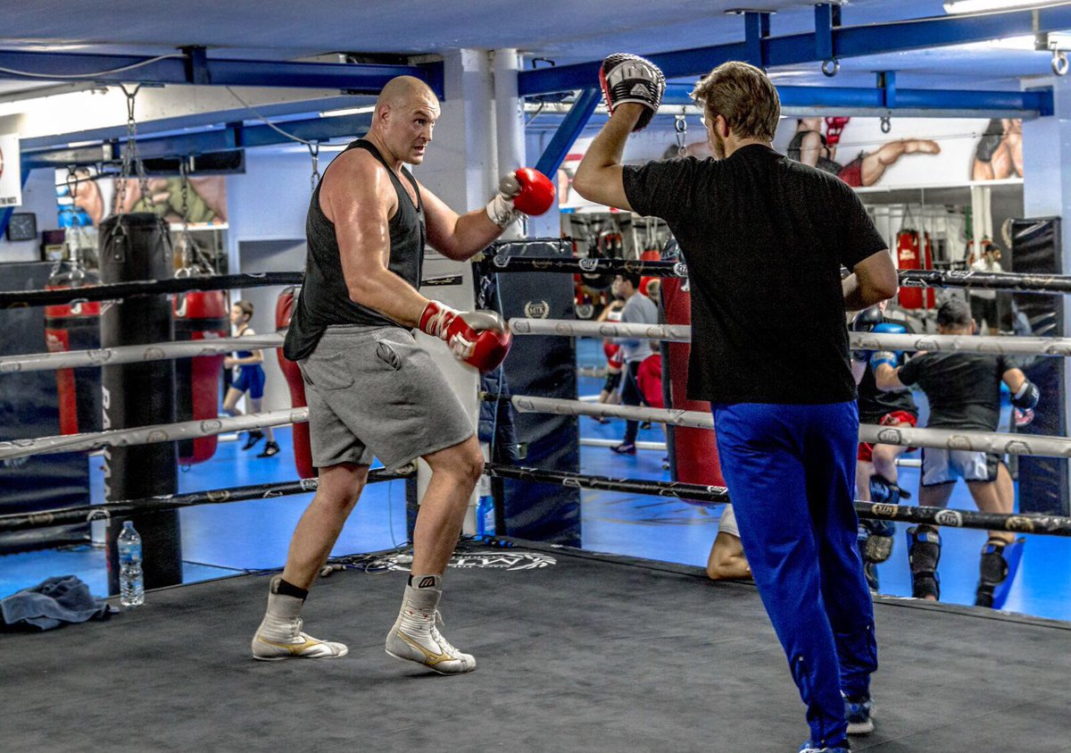 Тайсон Фьюри на лапах