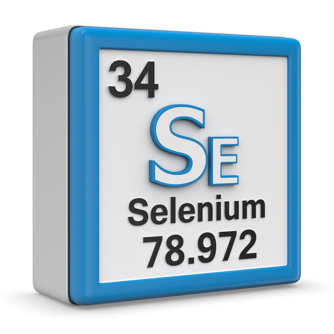 Selenium element located