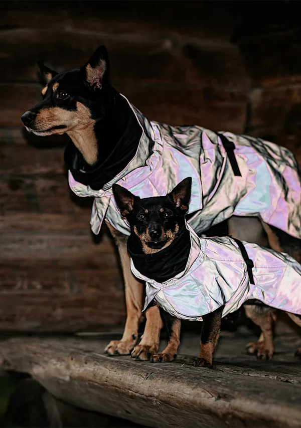    PittiPets: 5 брендов одежды и аксессуаров для пёсиков с выставки Pitti Uomo (фото 2)