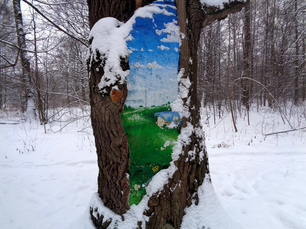 Фото 1.  "Крепитесь люди, скоро лето!"  Парк "Терлецкая дубрава"
