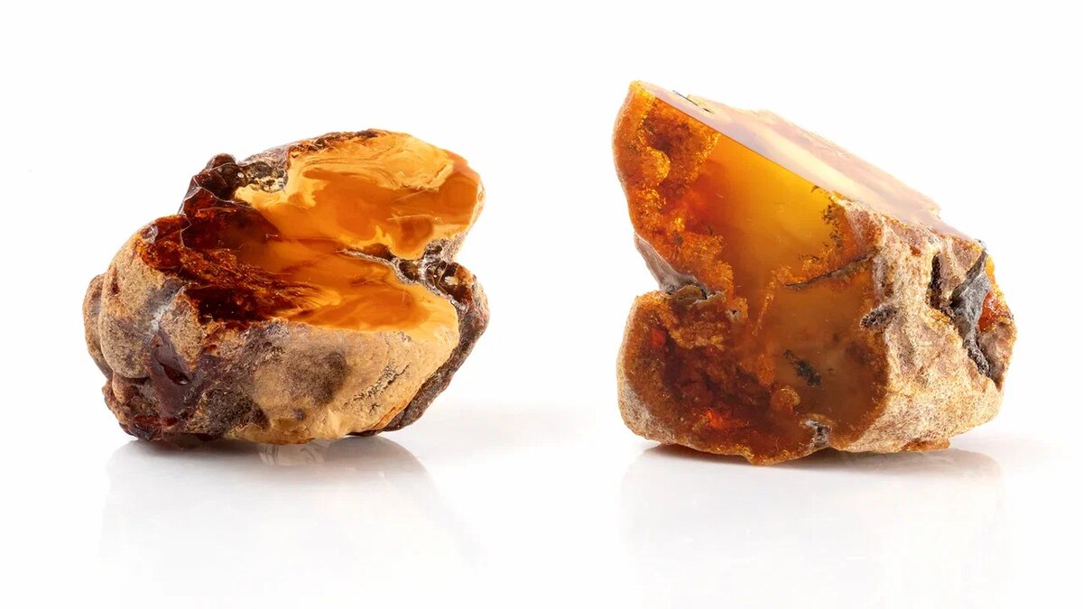 Amber collection