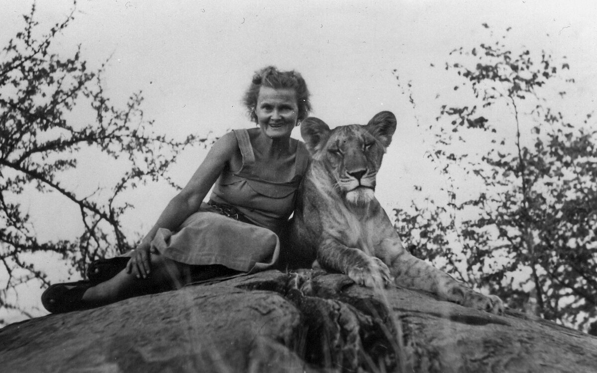 Джой Адамсон и львица Эльза. Источник: https://www.jewelsafaris.com/meru-national-park/