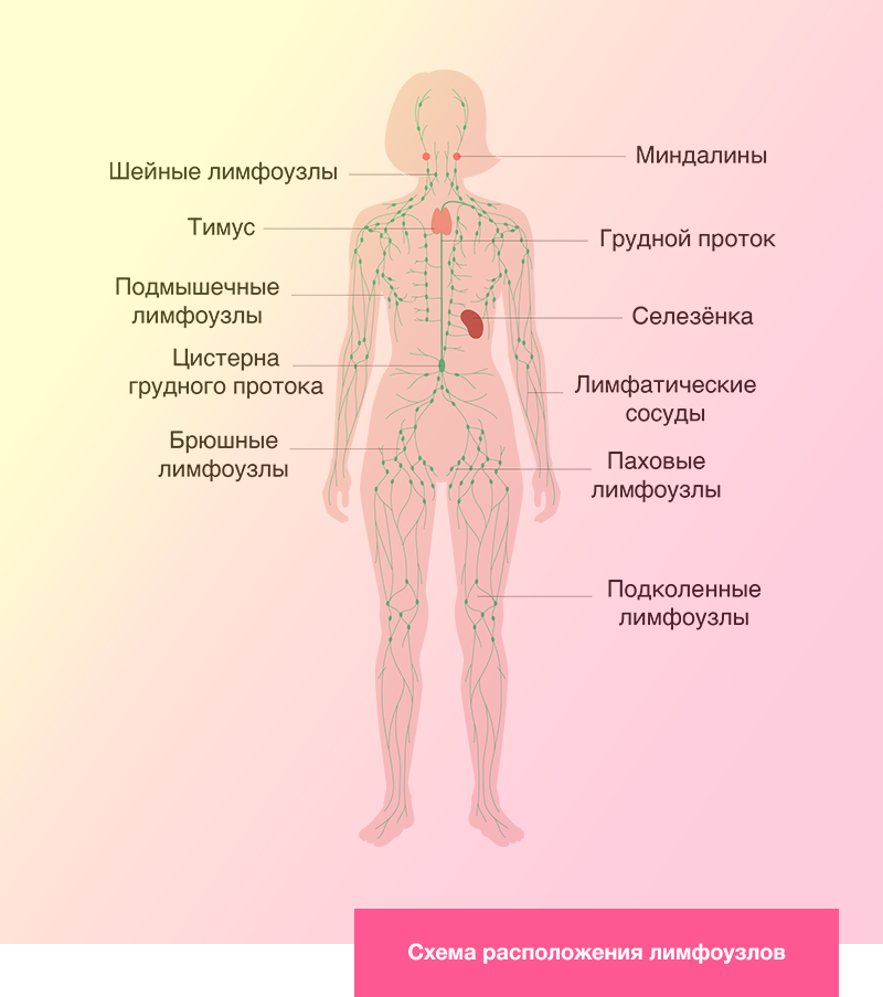 Лимфа повышенная