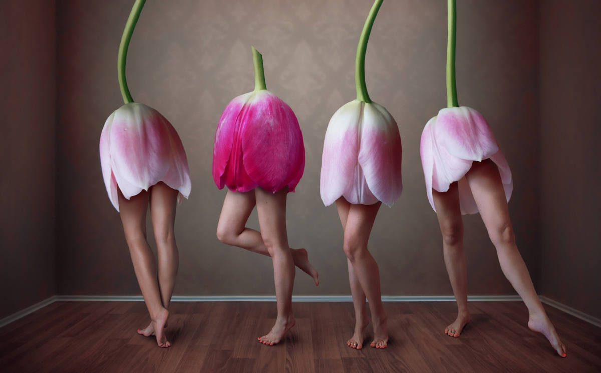 Изображение из открытых источников