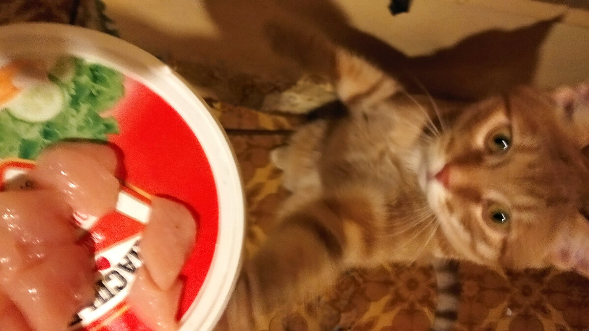 Личное  фото