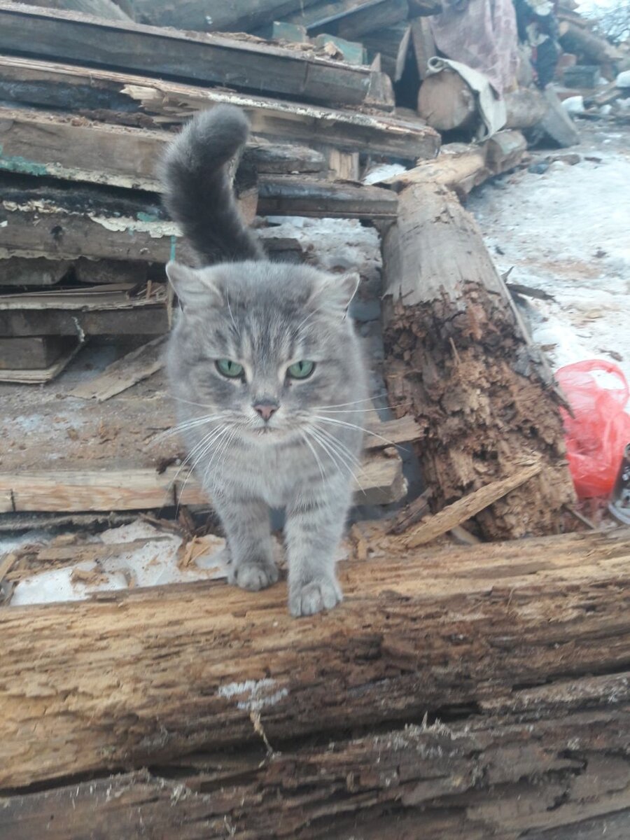 Она очень активная, по характеру вьюн