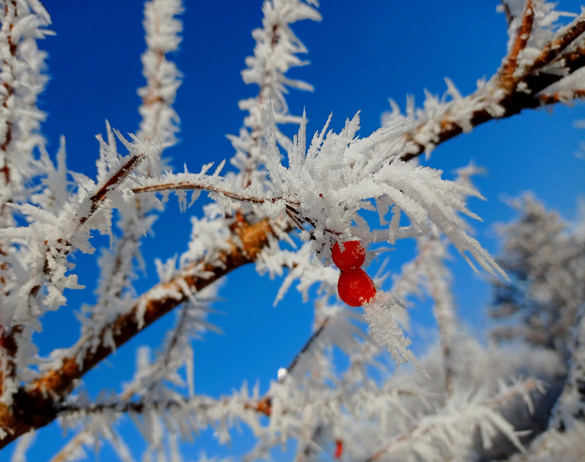 Ледяной пейзаж