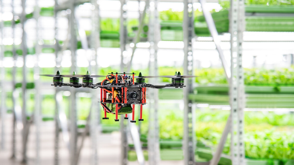 Виды дронов