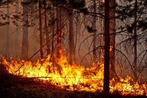    Фото: vsegda-pomnim.com Святослав Лавренко