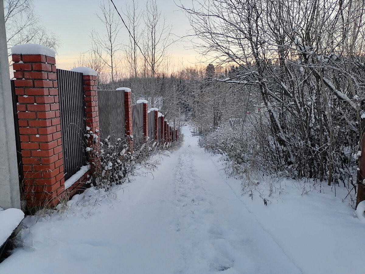 Фото автора статьи