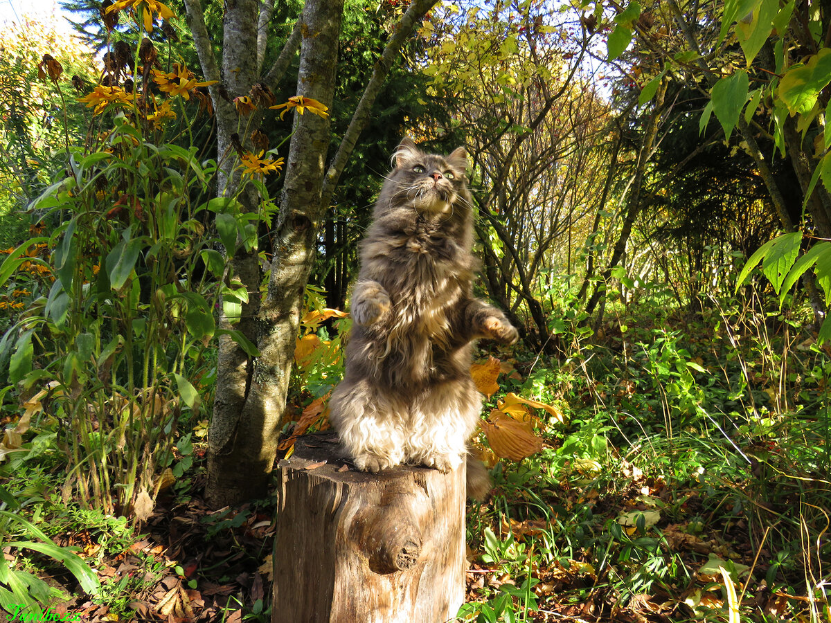 Ну просто гигантская!