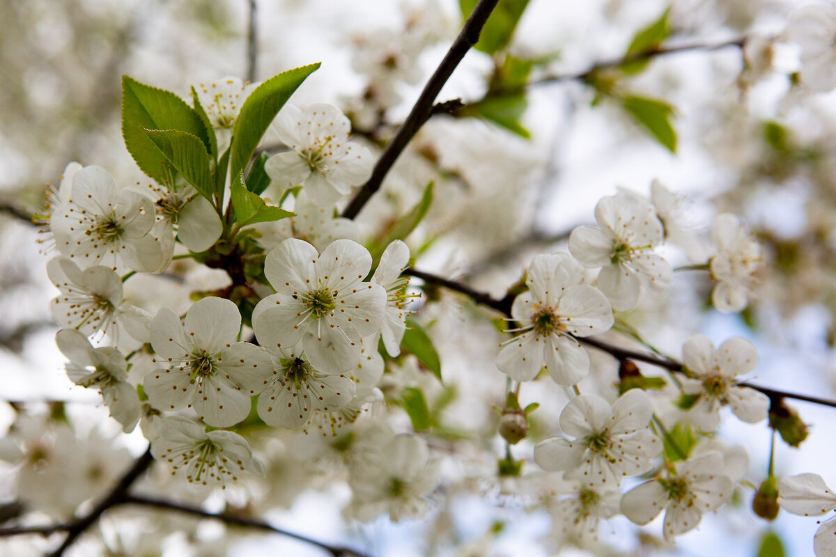 Изображение из открытых источников