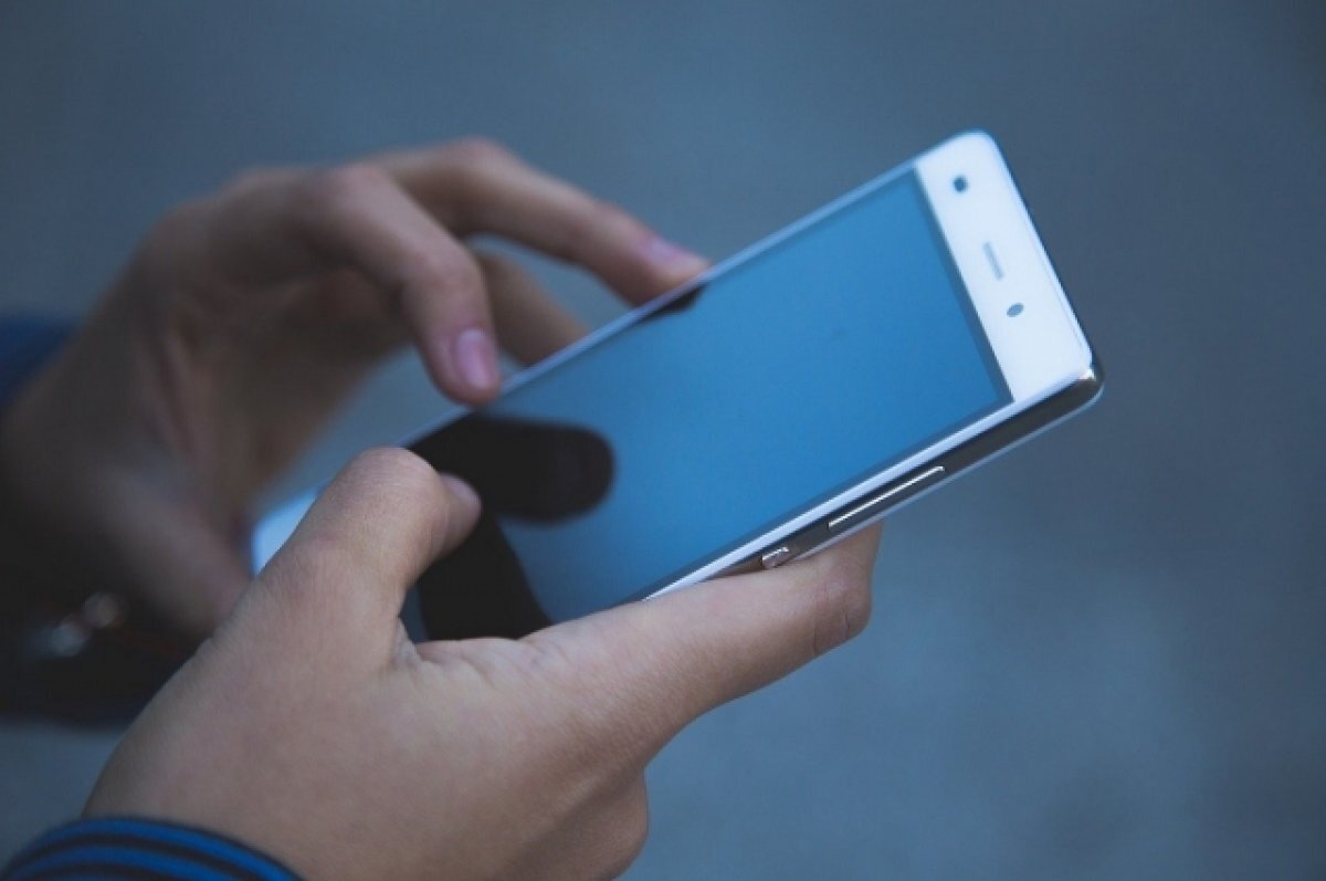    SMS-оповещения напомнят тюменцам о запрете посещать леса и жечь сухую траву