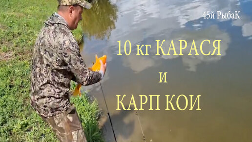 курганская область озеро чистое рыбалка