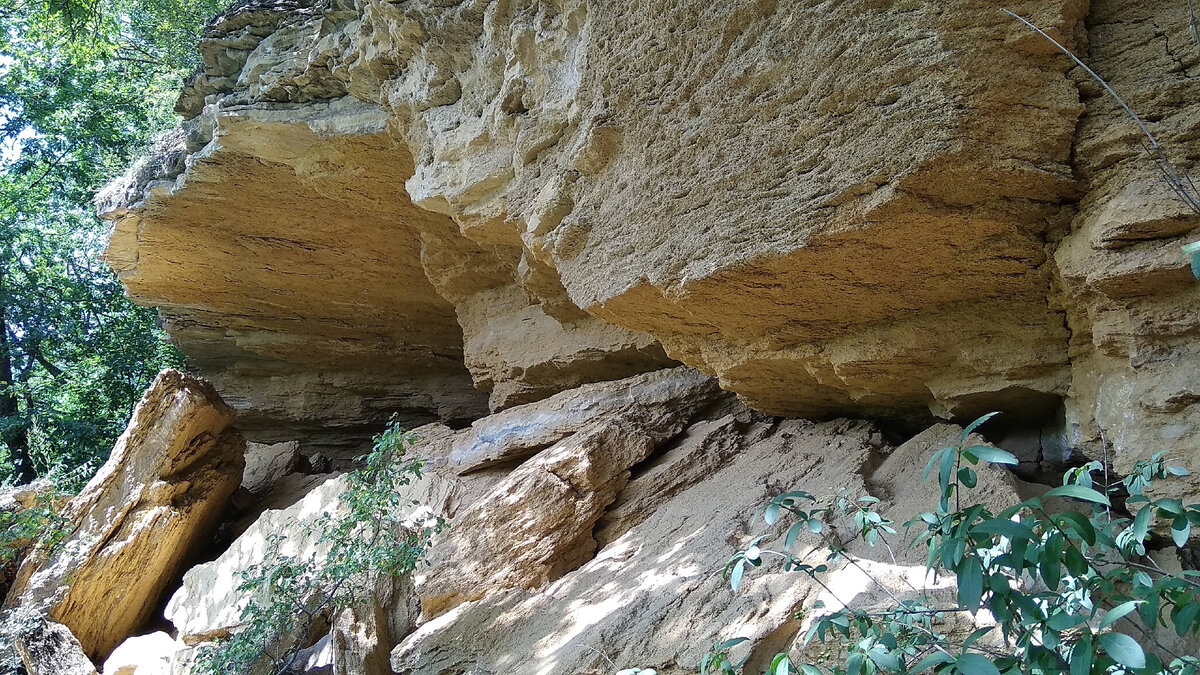 Татарские скалы (Татарский лес)