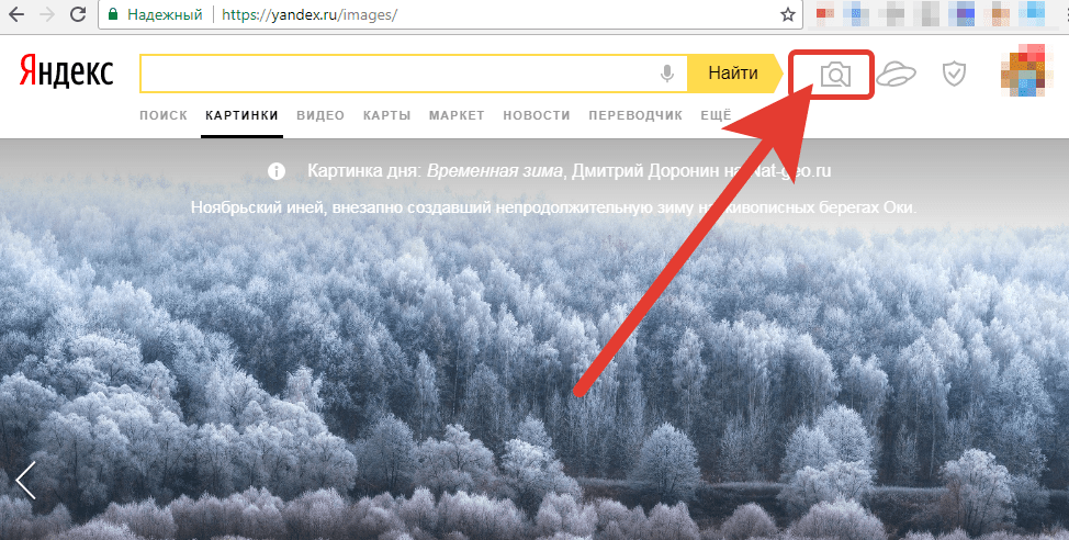 Определить снимок. Поиск по картинке Яндекс. Яндекс поиск покартинуе. Искать по картинке в Яндексе. Омск по картинке Яндекс.