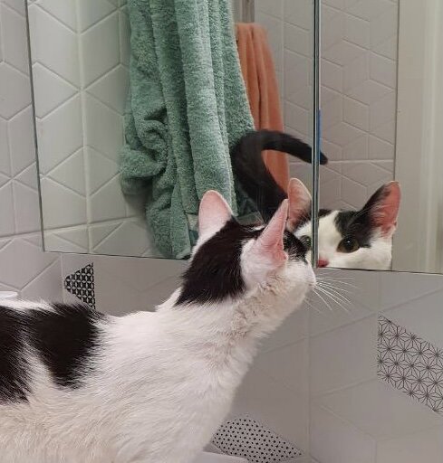 Ах, какое блаженство, знать, что ты - совершенство, знать, что ты - идеал)))))) 