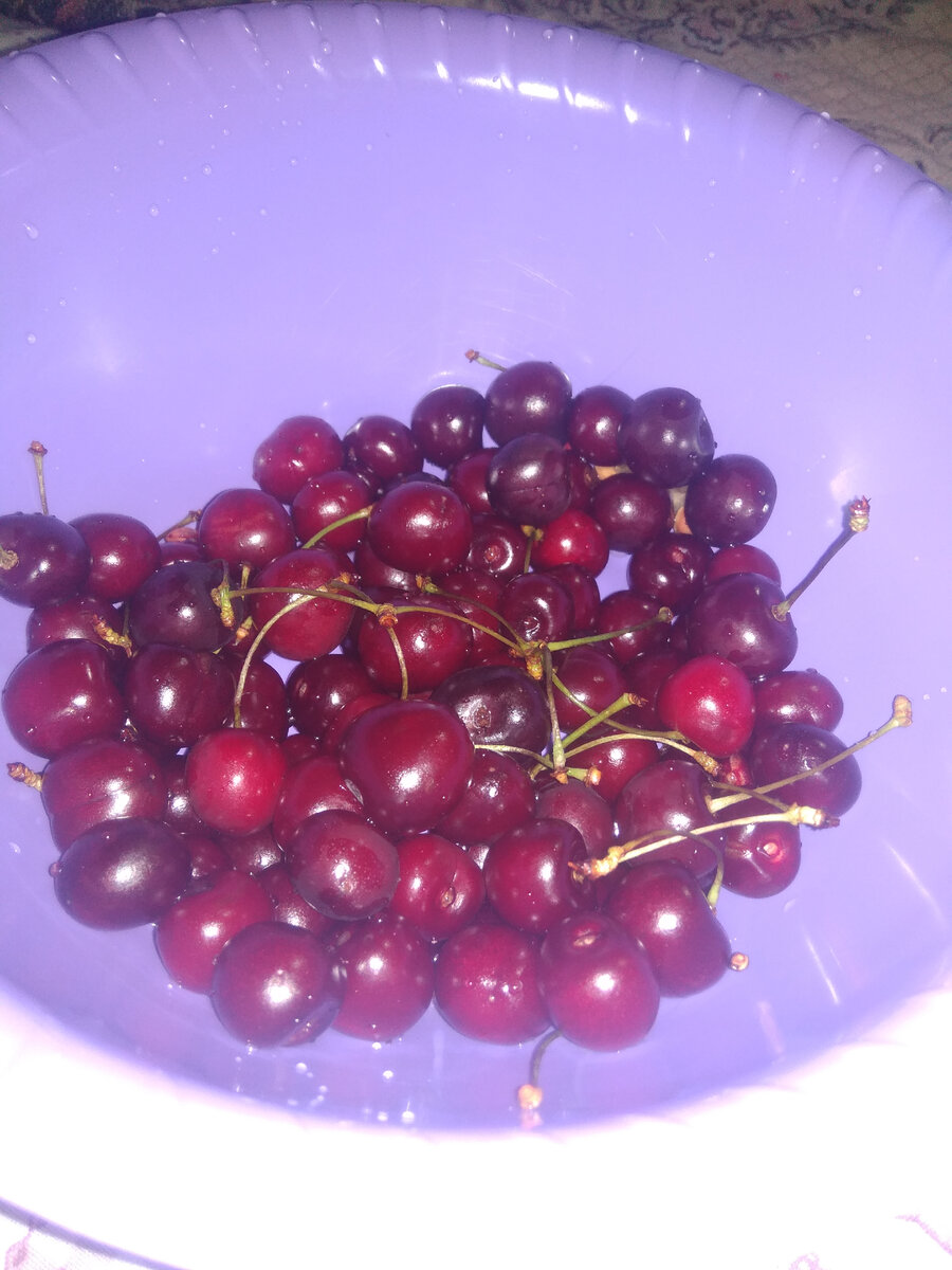 Люблю черешню