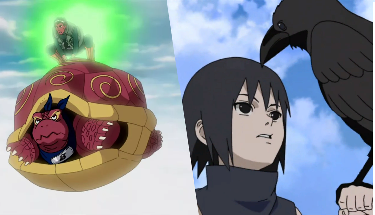 Черепаха и ворон(ну и одни из сильнейших шиноби)