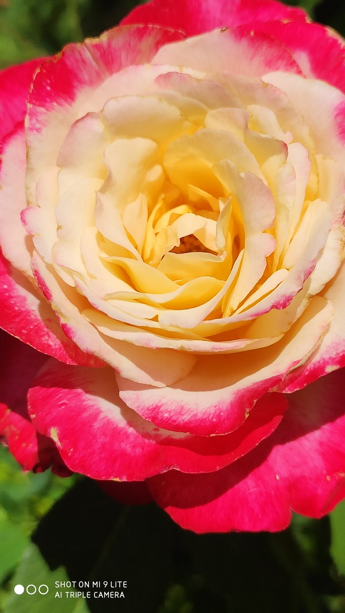 Фото из личного архива