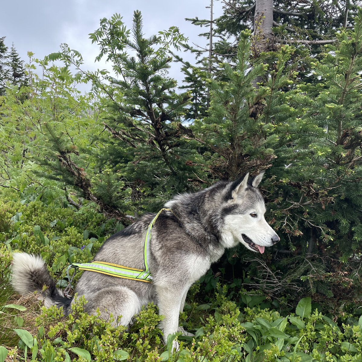 Фото: агентство по туризму Кузбасса