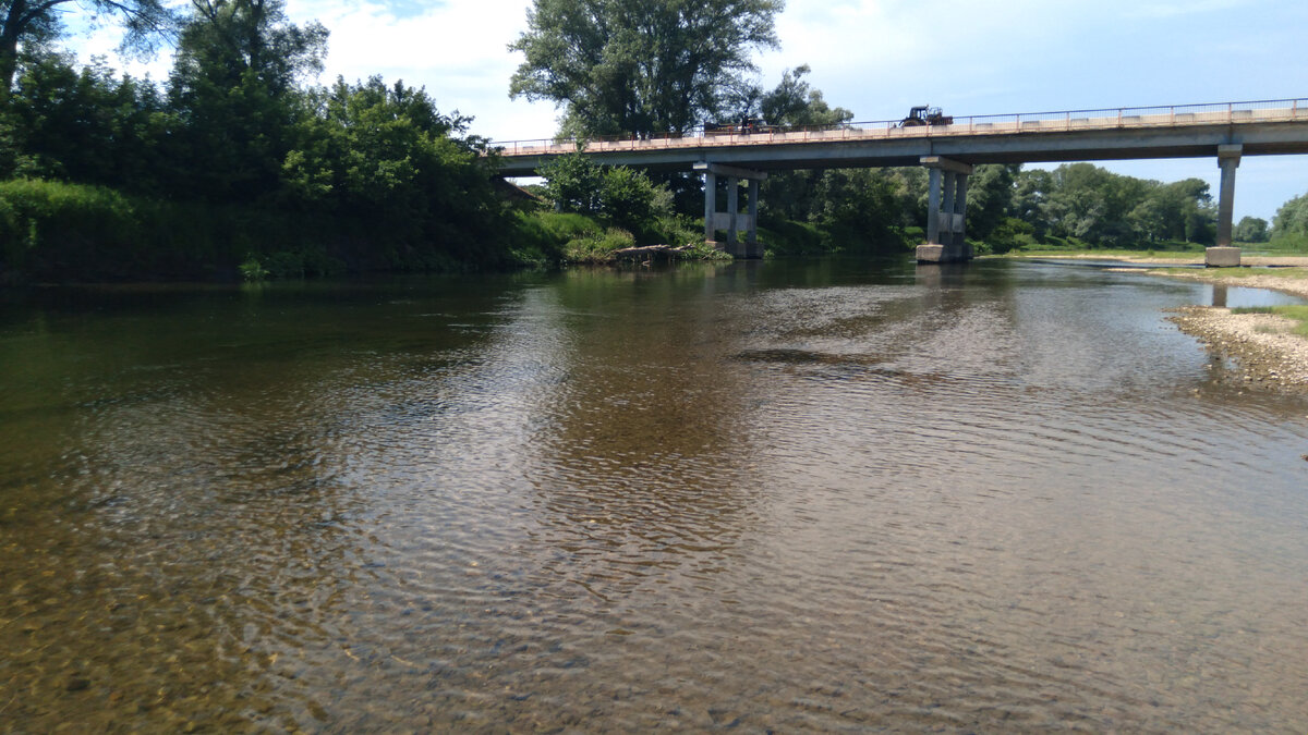Половину рыбалки на мосту велись ремонтные работы и шумел трактор...