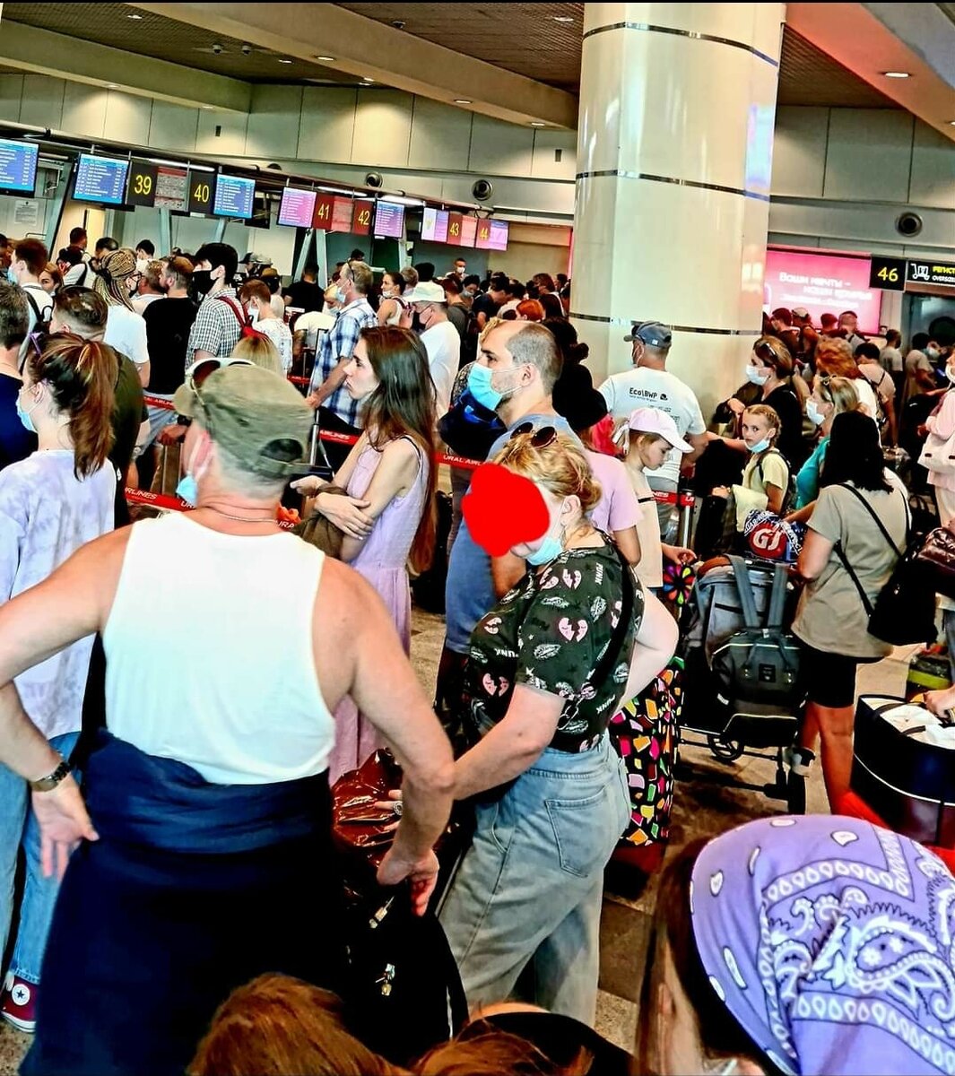 Фото того дня