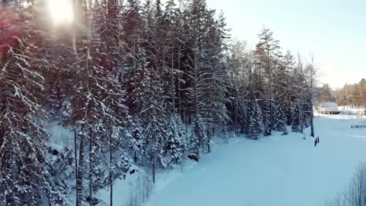 Законы зимней природы надо знать