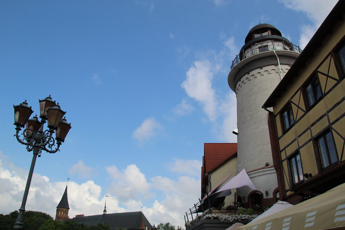 Фото автора.