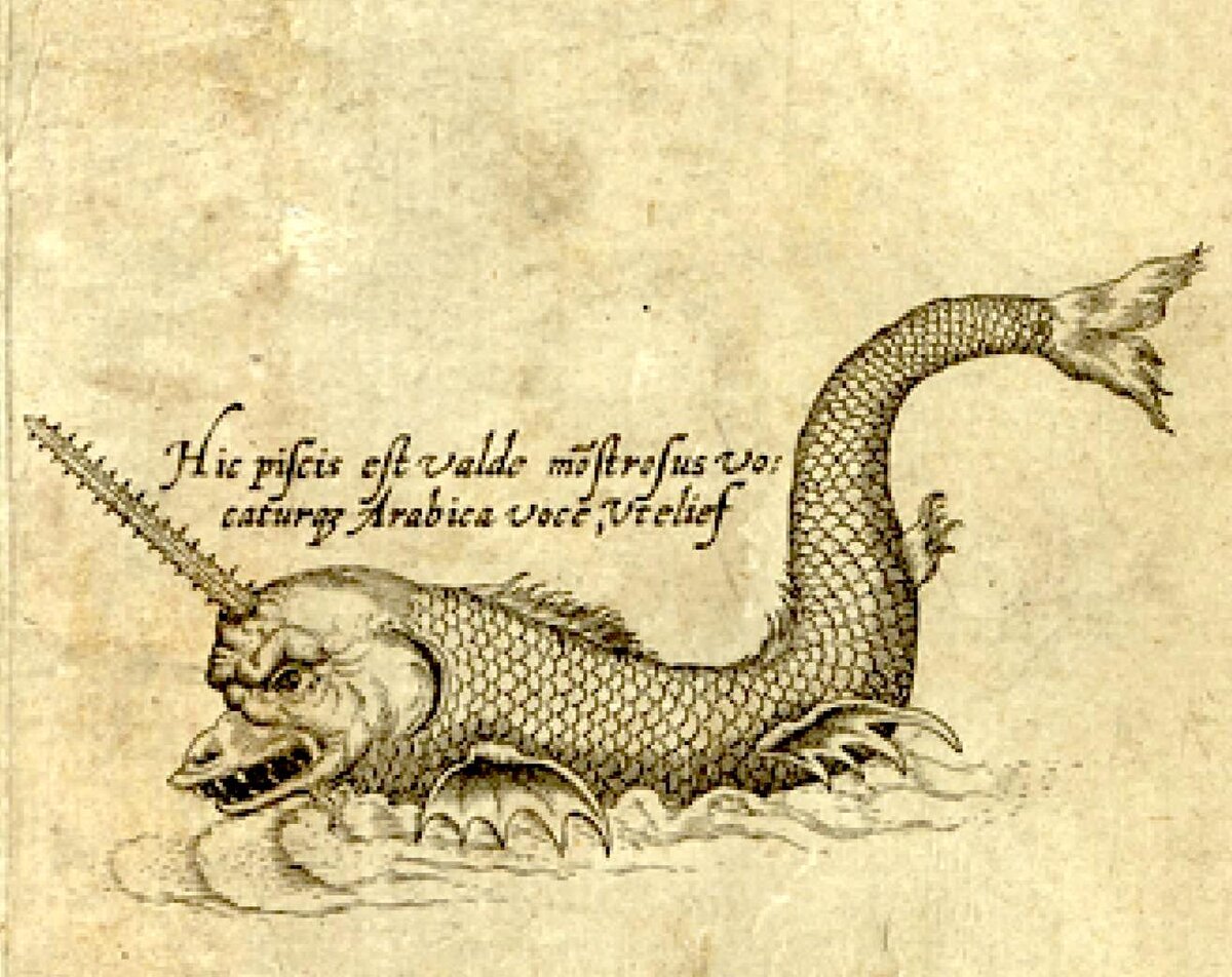Фантастическое изображение нарвала из «Нового описания Азии» Даниэля Келлера (Антверпен, 1590)