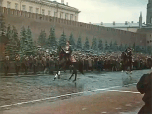 Маршал Рокоссовский верхом на Полюсе