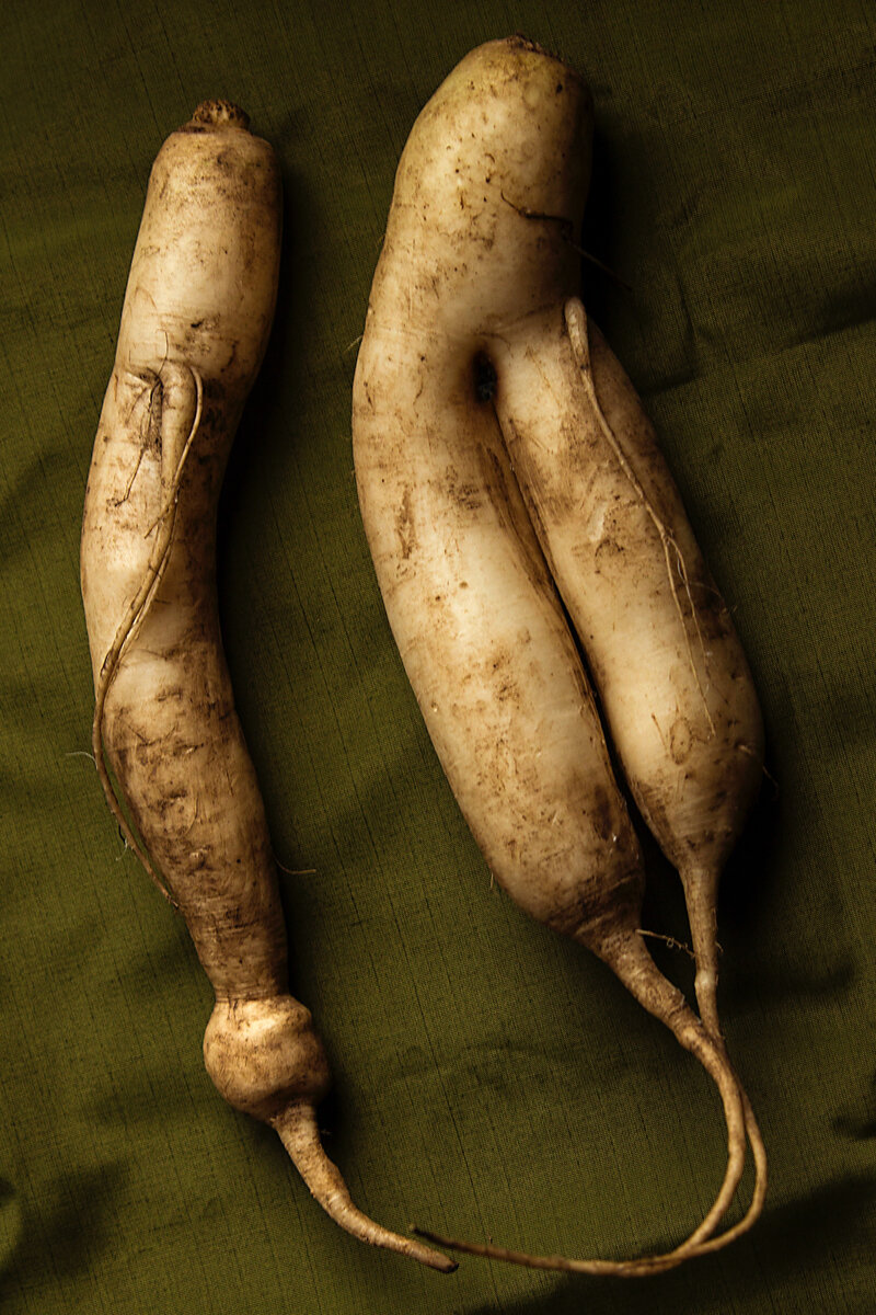 Фото автора Станіслав Пилипенко: Pexels