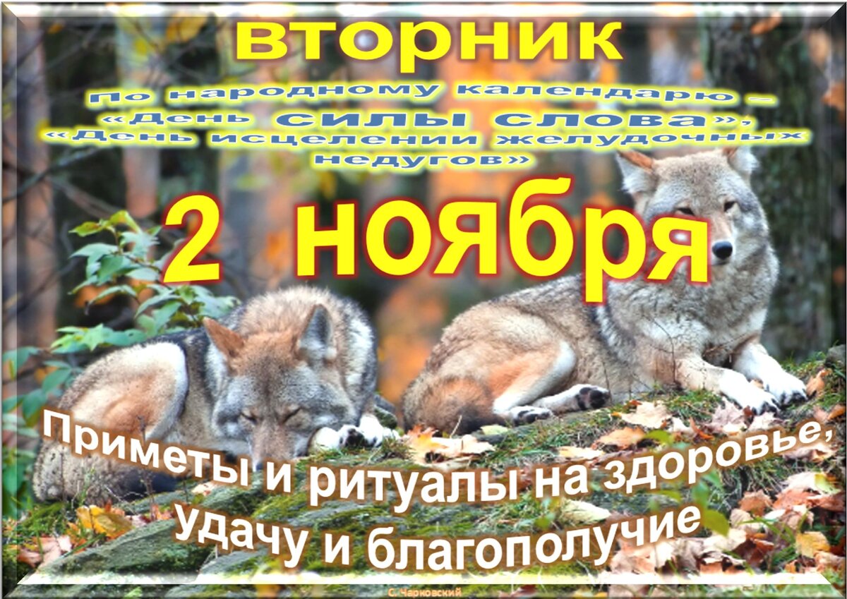Встречаем новый день