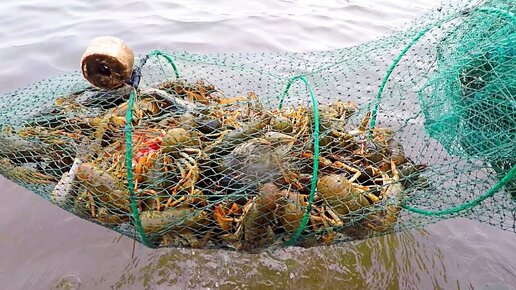 Весна! Ловим Раков-Самцов на Китайские Раколовки "Гармошки"! | FISHING ...
