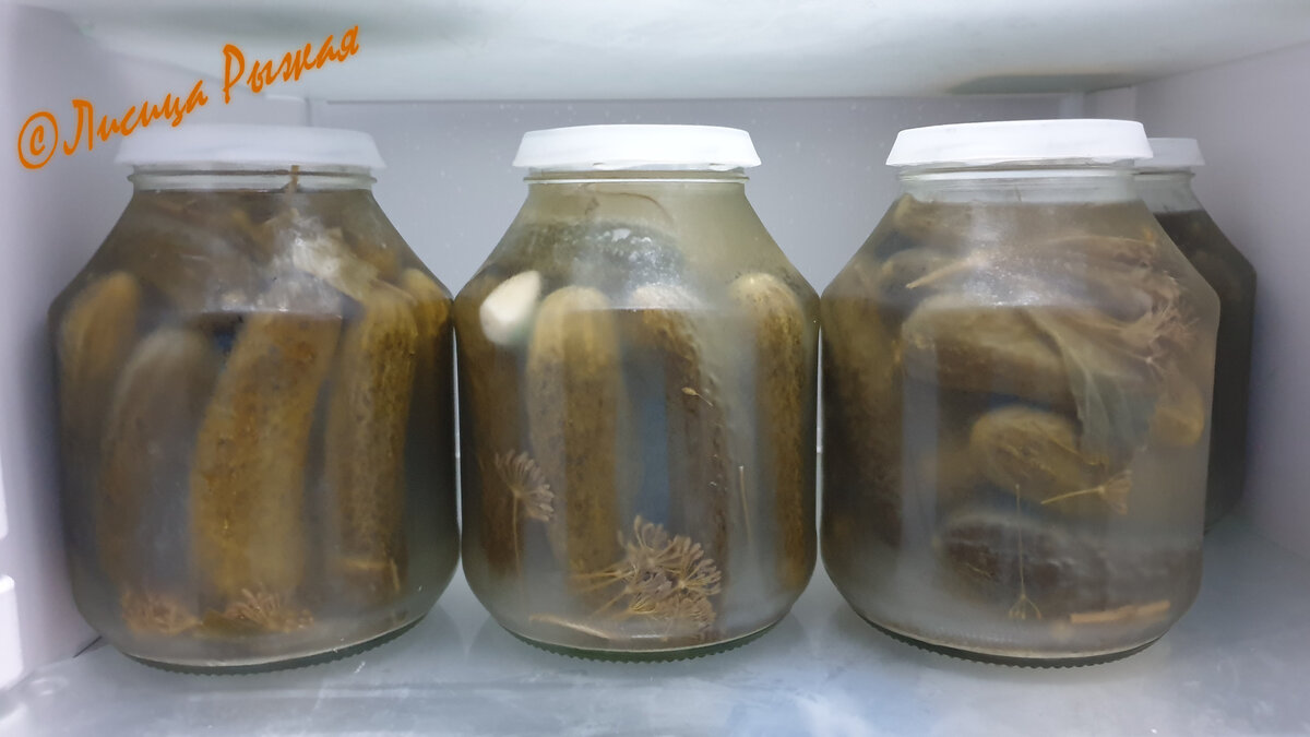 Какая же зима без соленых огурчиков?!