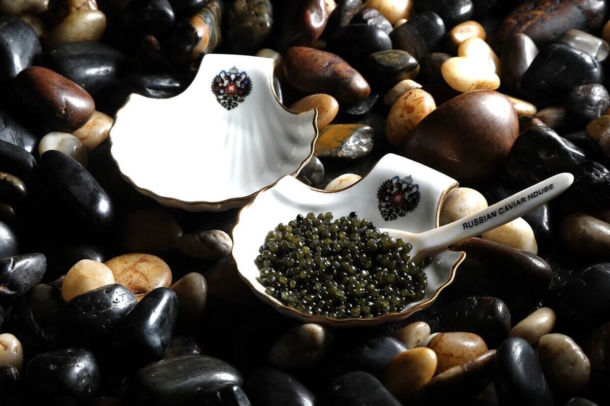 Art caviar. Artcaviarrus.