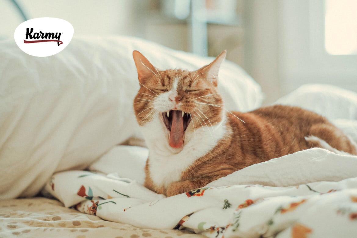 Авторское изображение с использованием картинки с фотостока "Unsplash"