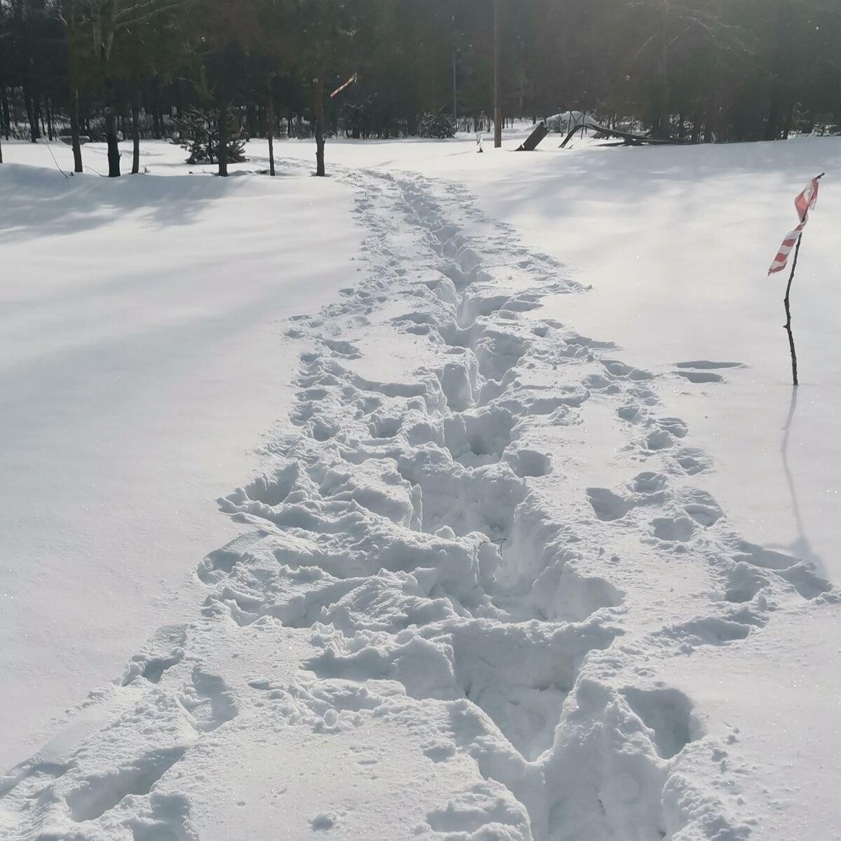 Бег по глубокому снегу