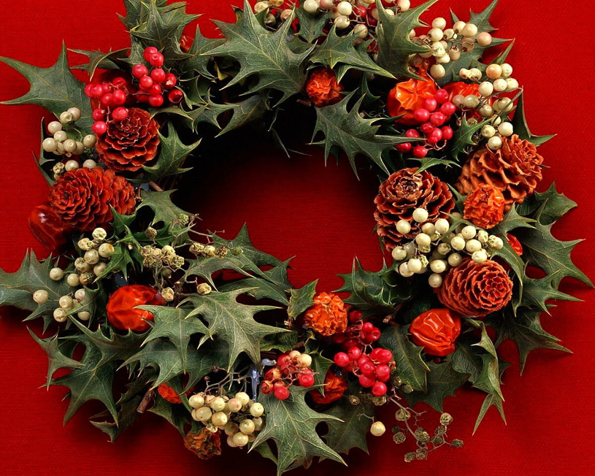 Венок из омелы на Рождество