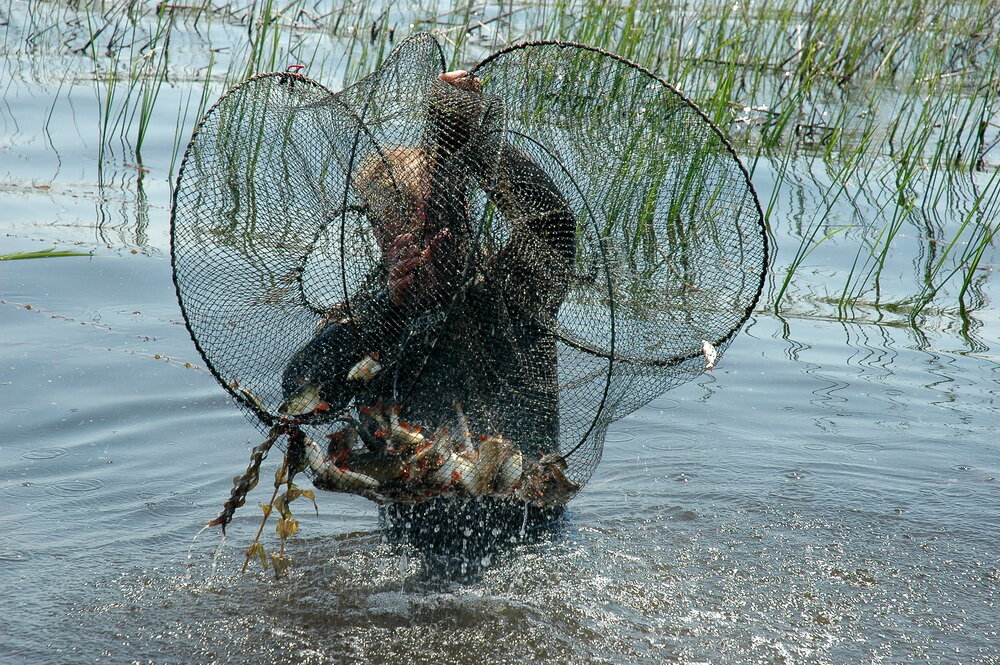 Лов рыбы сетью