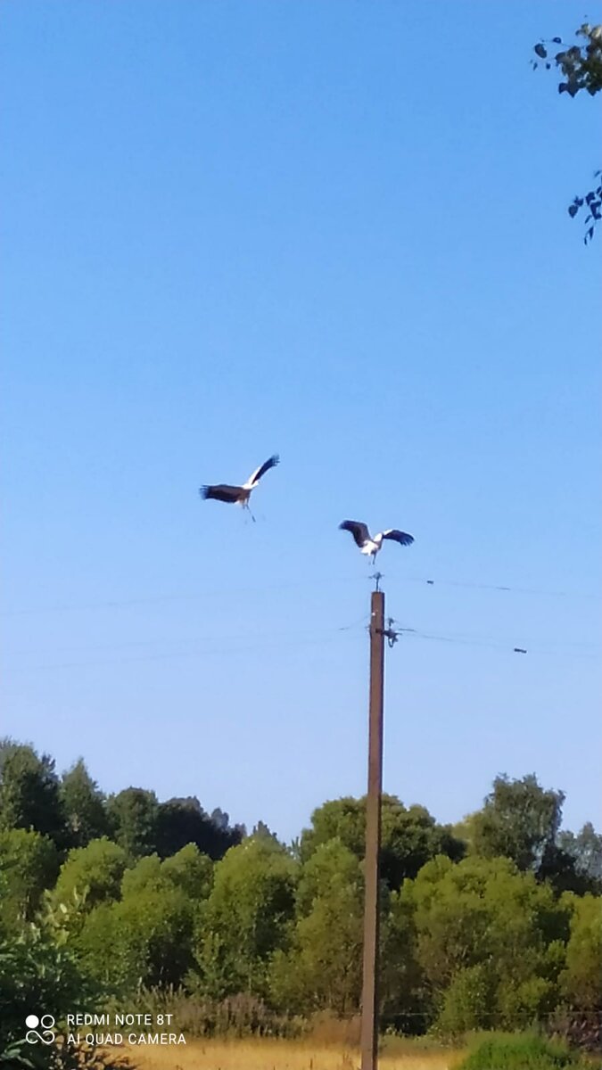 Фото Наташи Фролушкиной