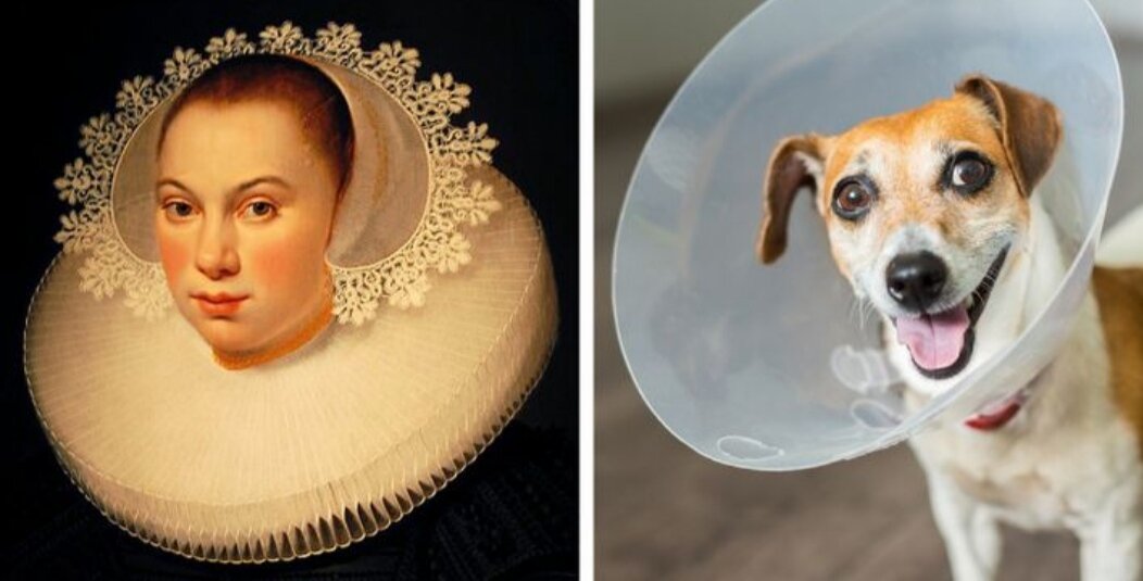 Elizabethan collar best sale for humans