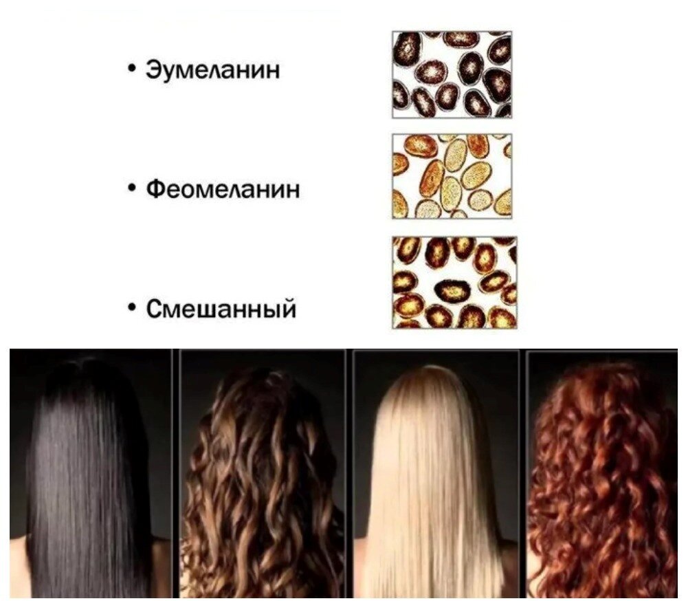 4 основных цвета. Коллаж сделан мной