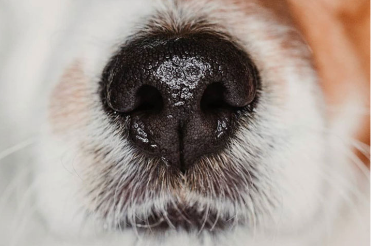 Фото: tr.pinterest.com 